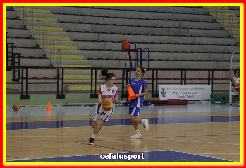 140505 basket 209_tn.jpg
